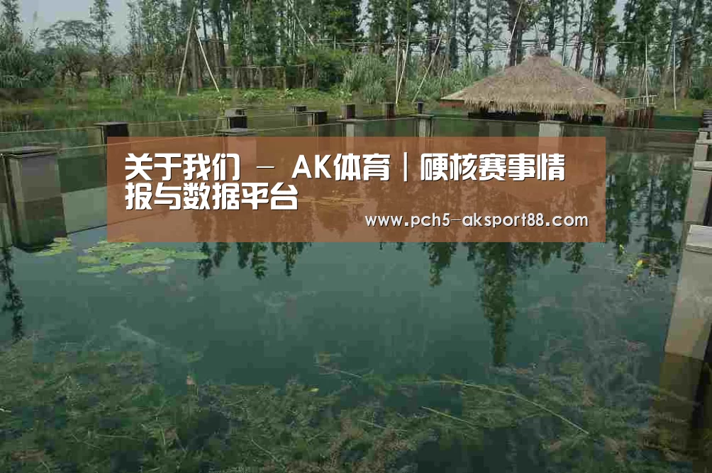 案例展示二(图1)