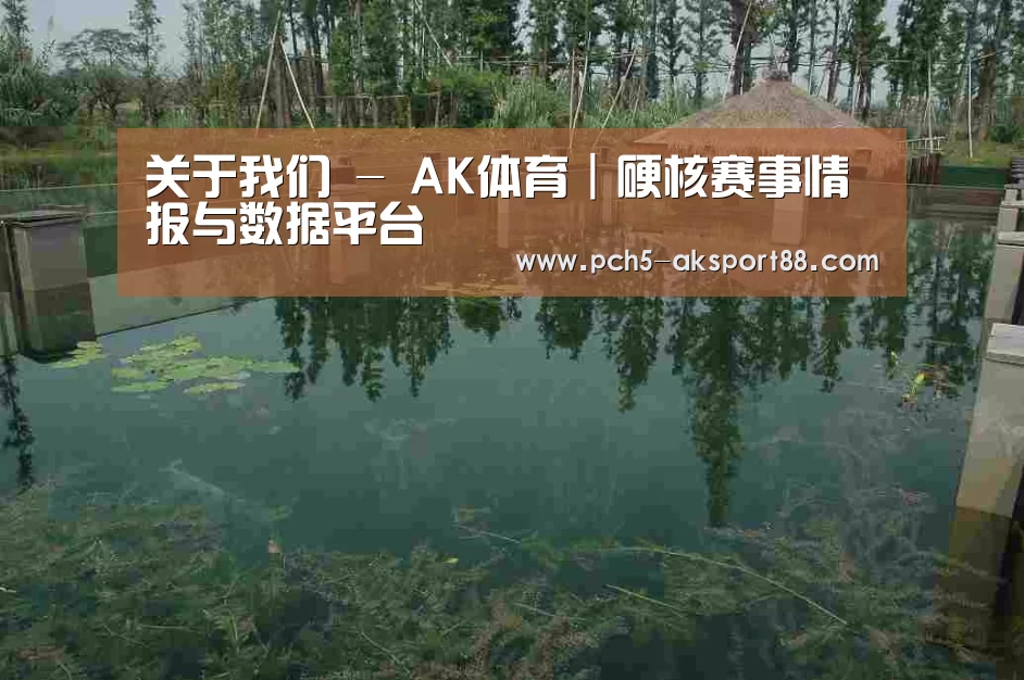 案例展示二