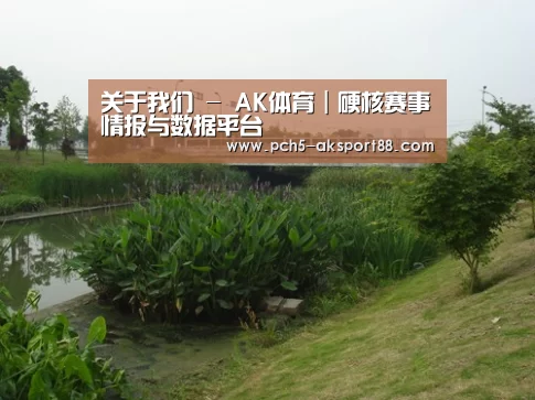 案例展示四