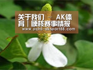 产品名称三