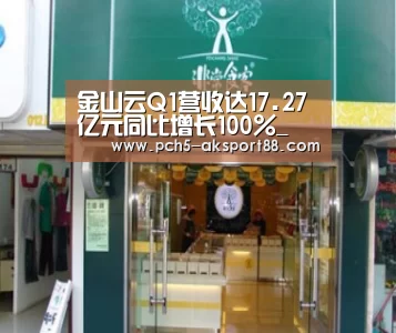 金山云Q1营收达17.27亿元同比增长100%_ 关于我们(图2) 数据驱动